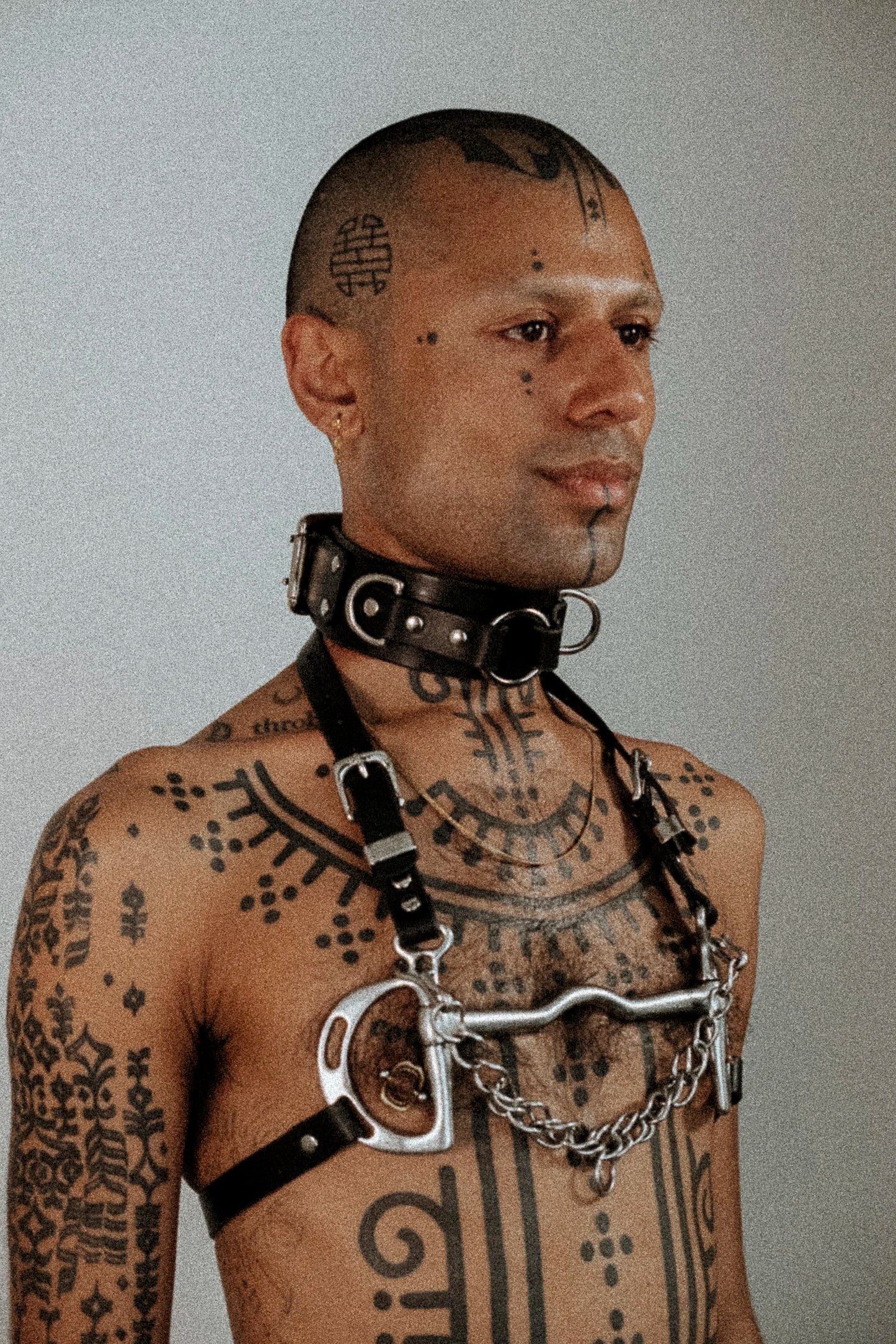 Double prong buckle collar