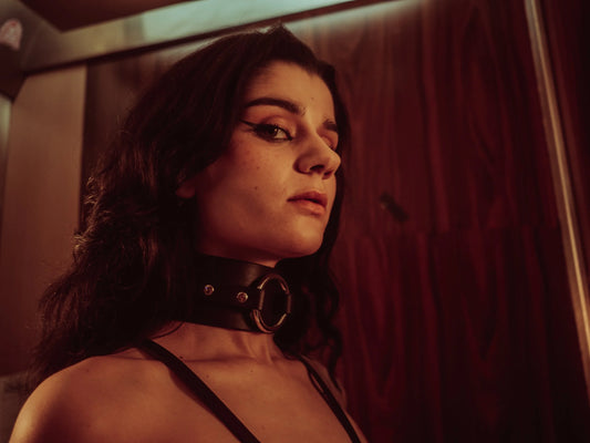 Double prong buckle collar