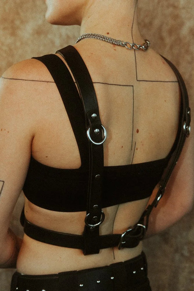 Nemesis, reversible chest harness