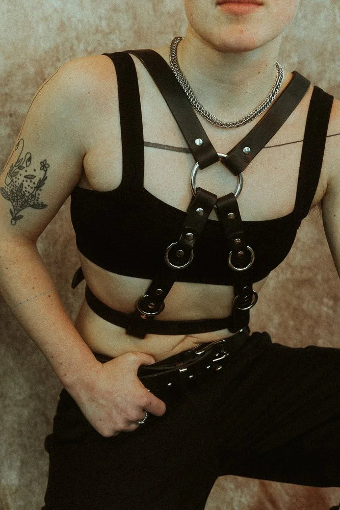 Nemesis, reversible chest harness