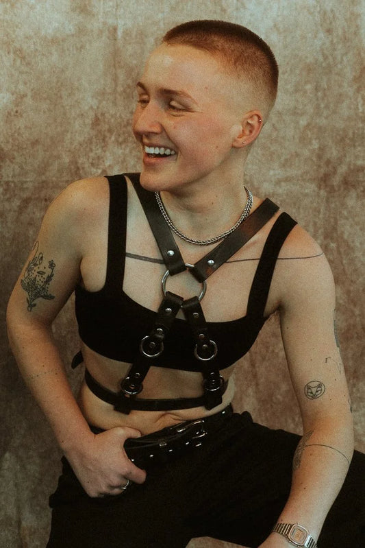 Nemesis, reversible chest harness