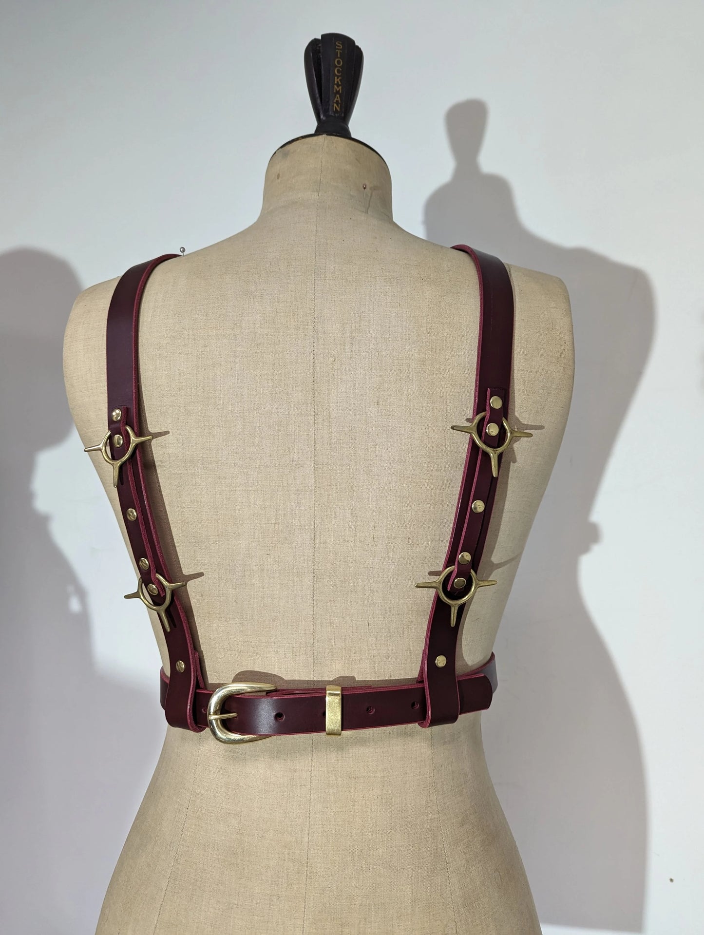 Nemesis, reversible chest harness