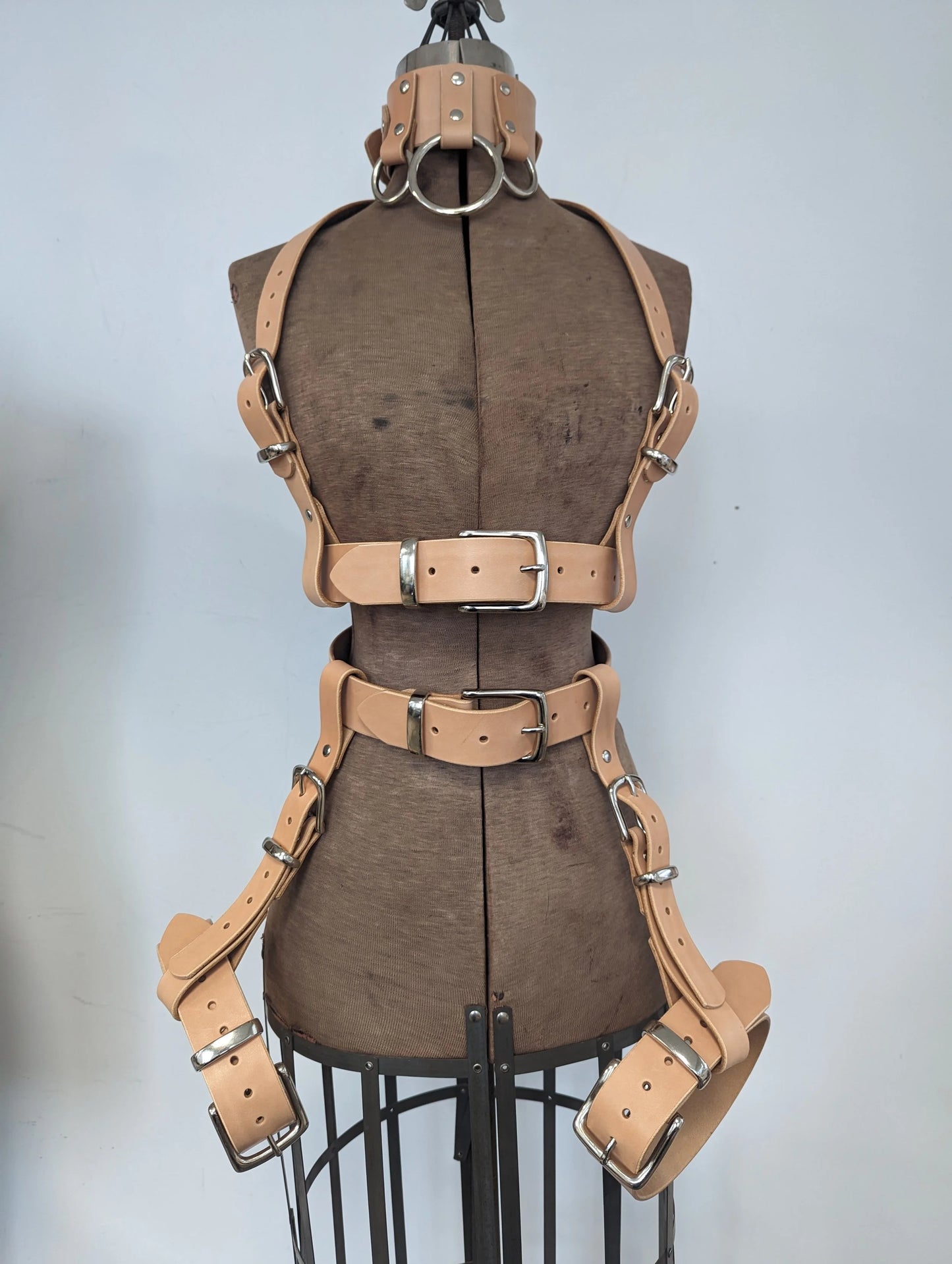 Waist to Thigh harness