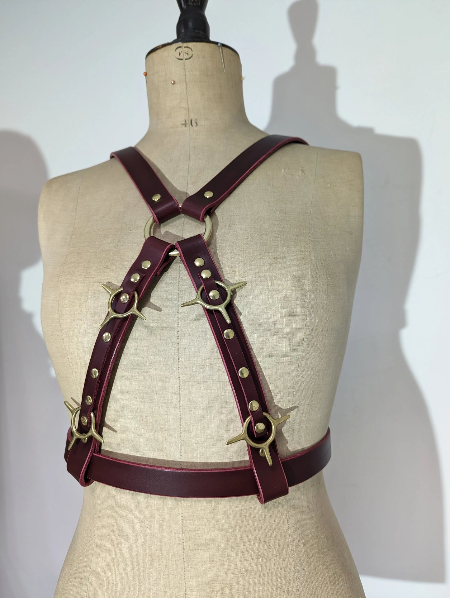 Nemesis, reversible chest harness