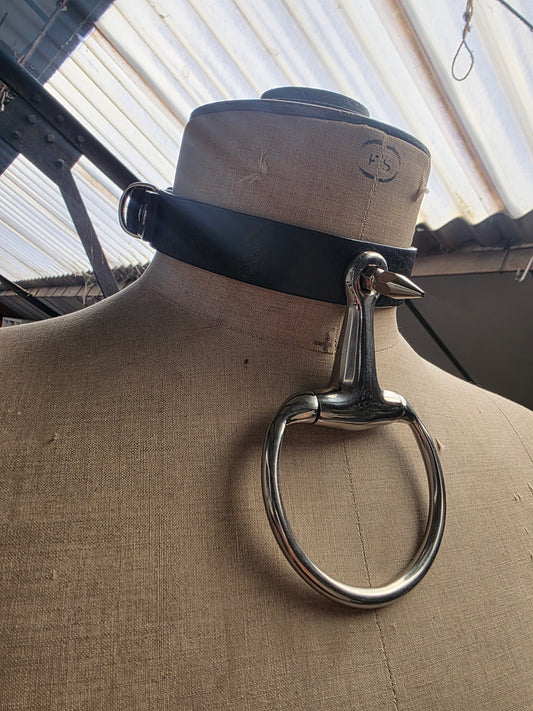 Control Collar