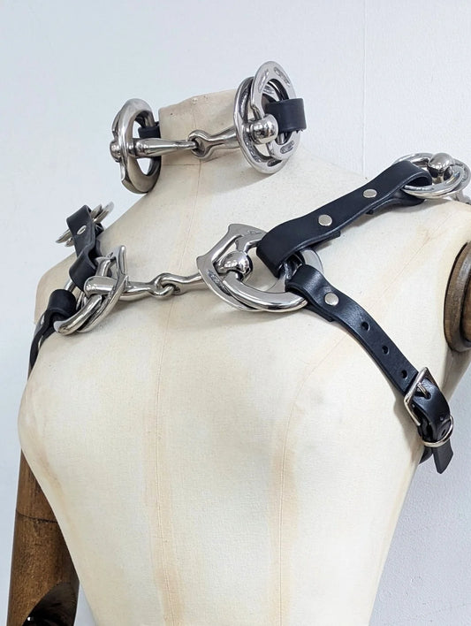 Steel Pony Collar