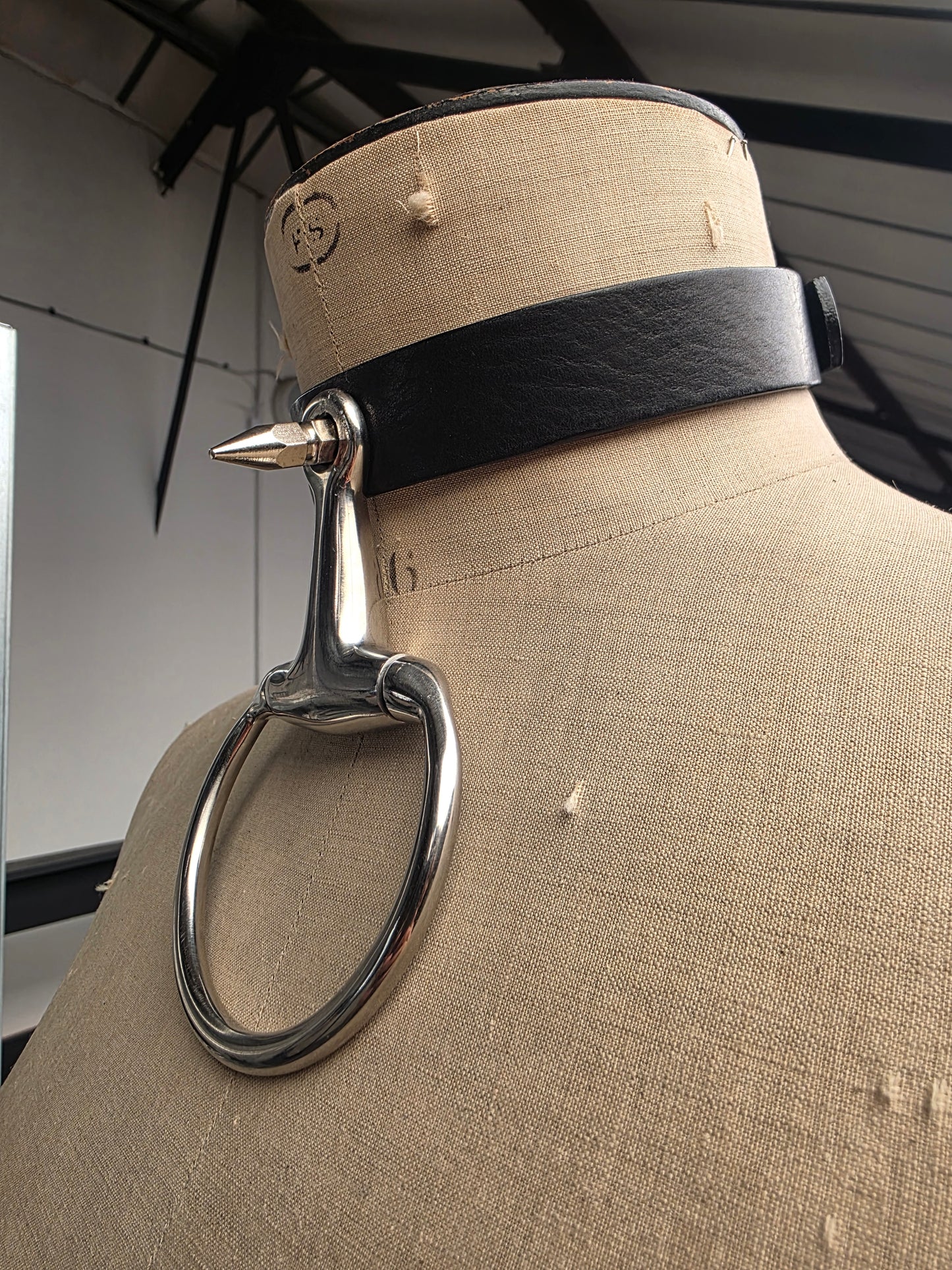 Control Collar