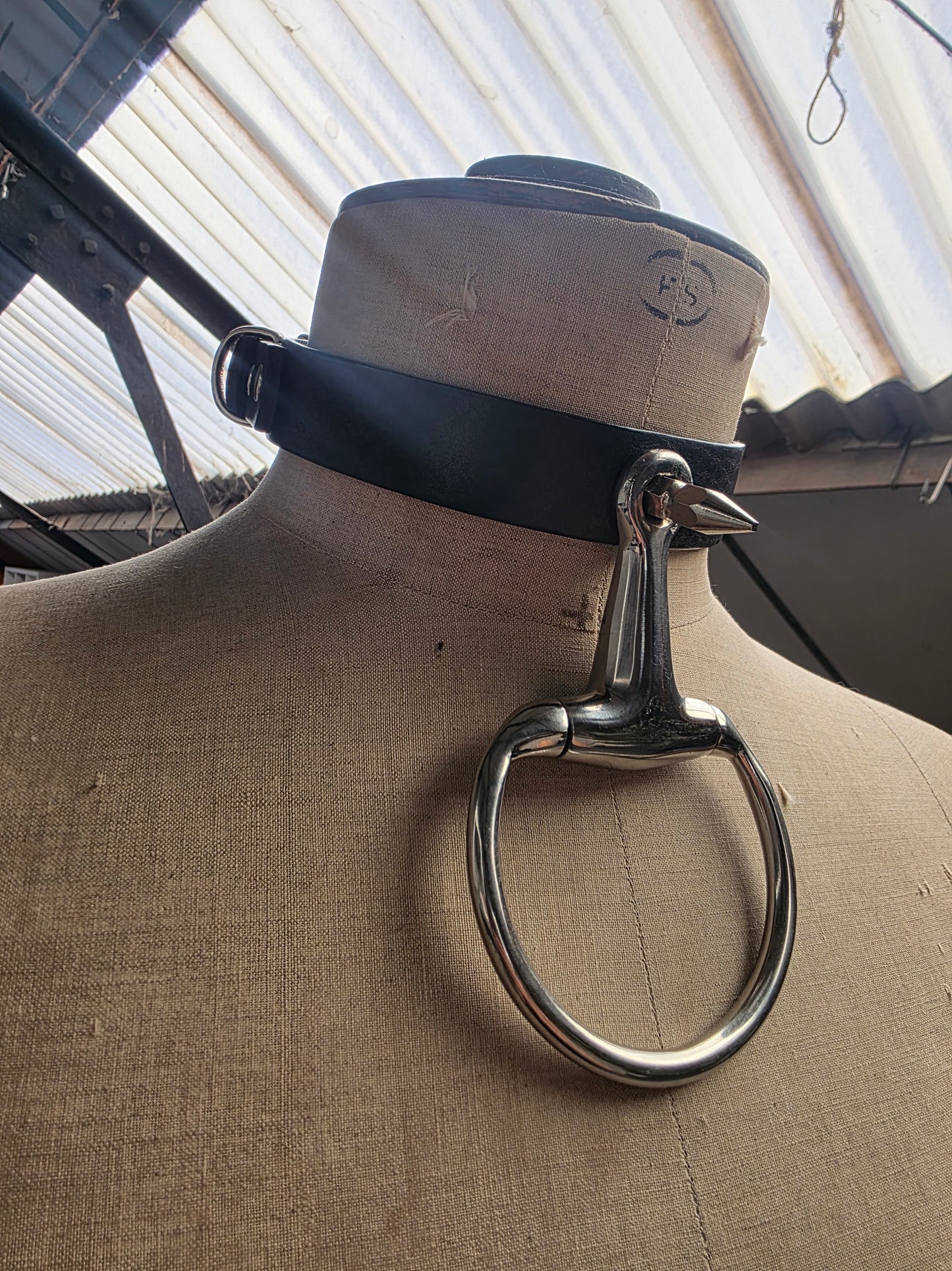 Control Collar