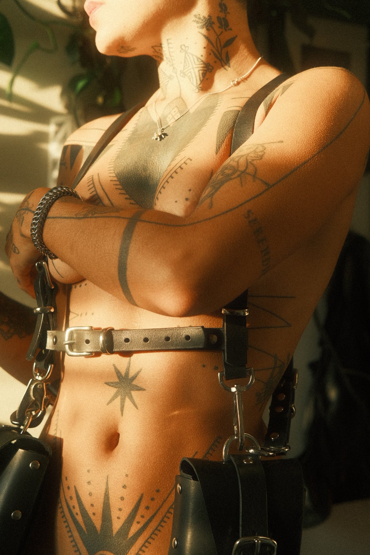 Saddle Bags body harness